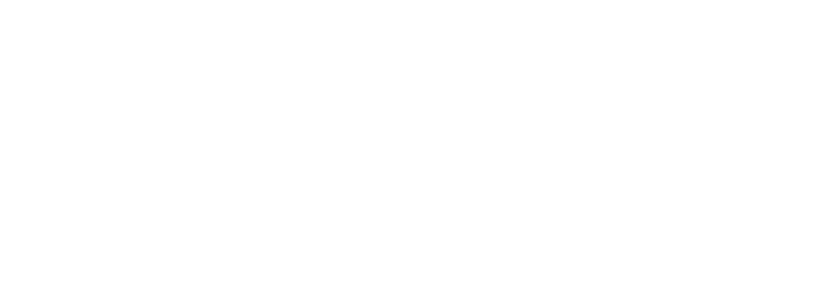 DMS Teamsystem_logo